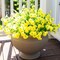 Artificial Flowers for Outdoors Decoration, 12 Bundles Fake Yellow Morning (Yellow) 5"D x 5"W x 4"H